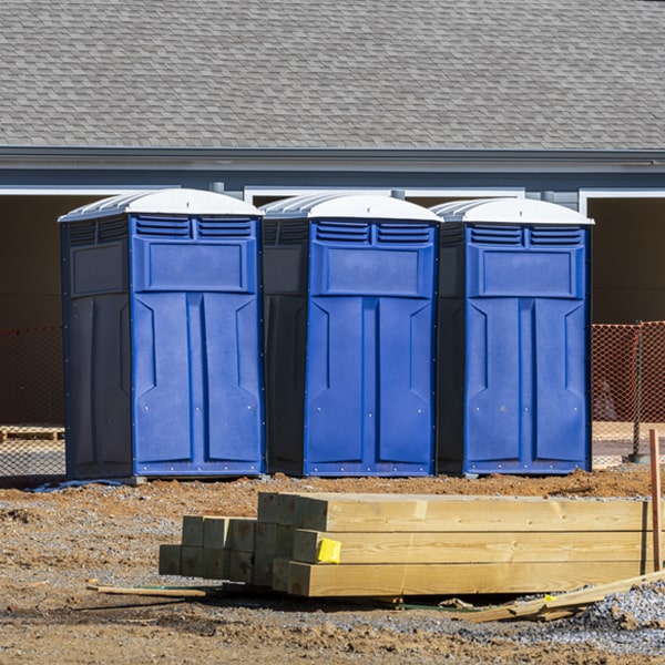 how often are the porta potties cleaned and serviced during a rental period in Rochester